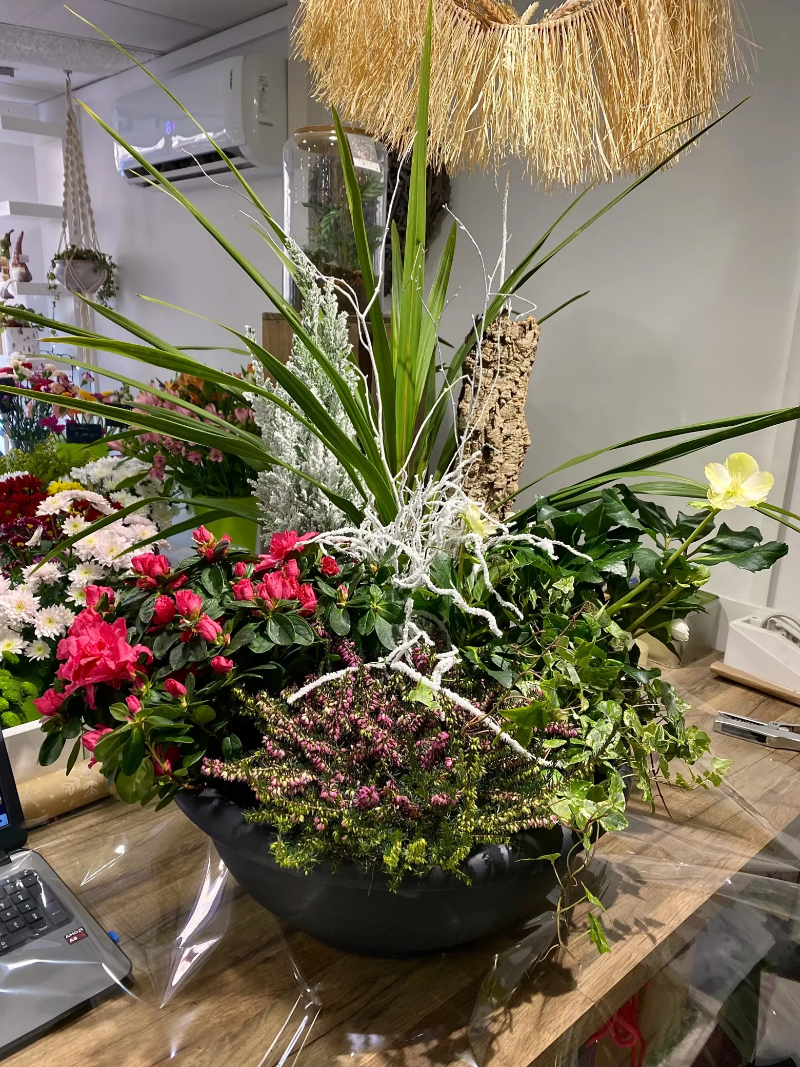 Fleurs séchées 3