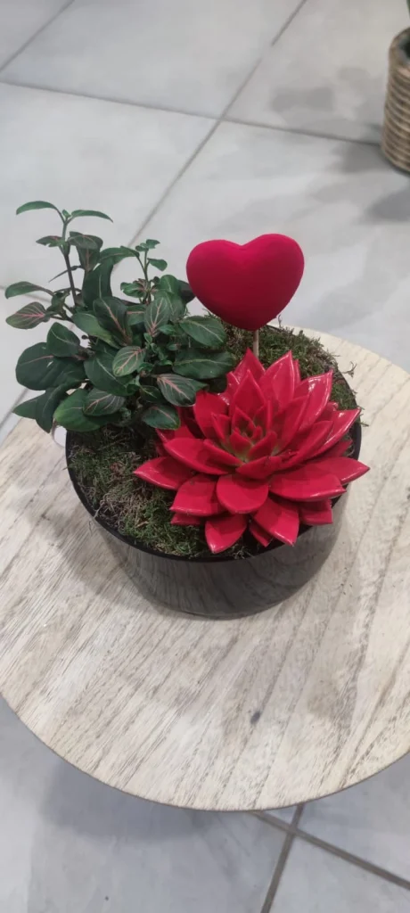 Saint Valentin #01