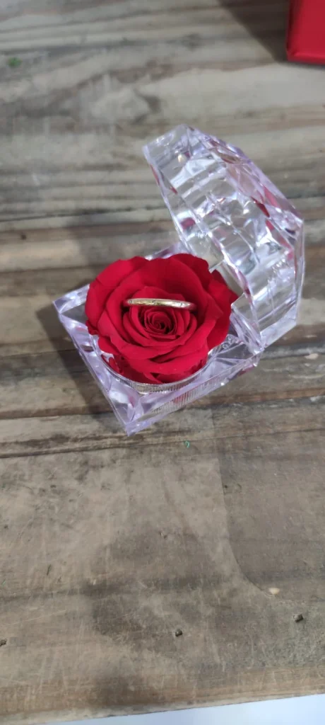 Saint Valentin #02