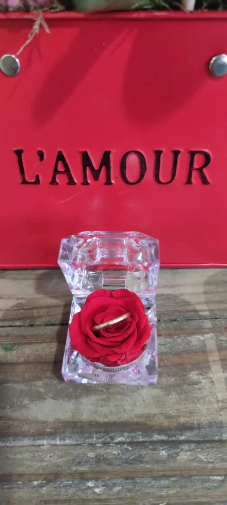 Saint Valentin #05