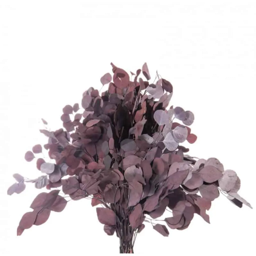 Bouquet de Populus stabilisé